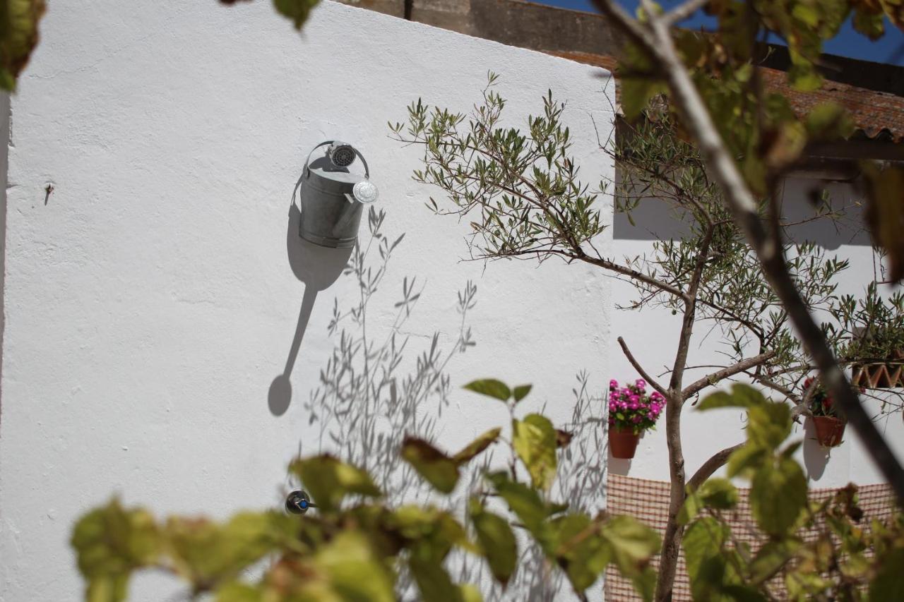 Апартаменты Casa Leonor Vejer Вьер де ла Фронтера Экстерьер фото